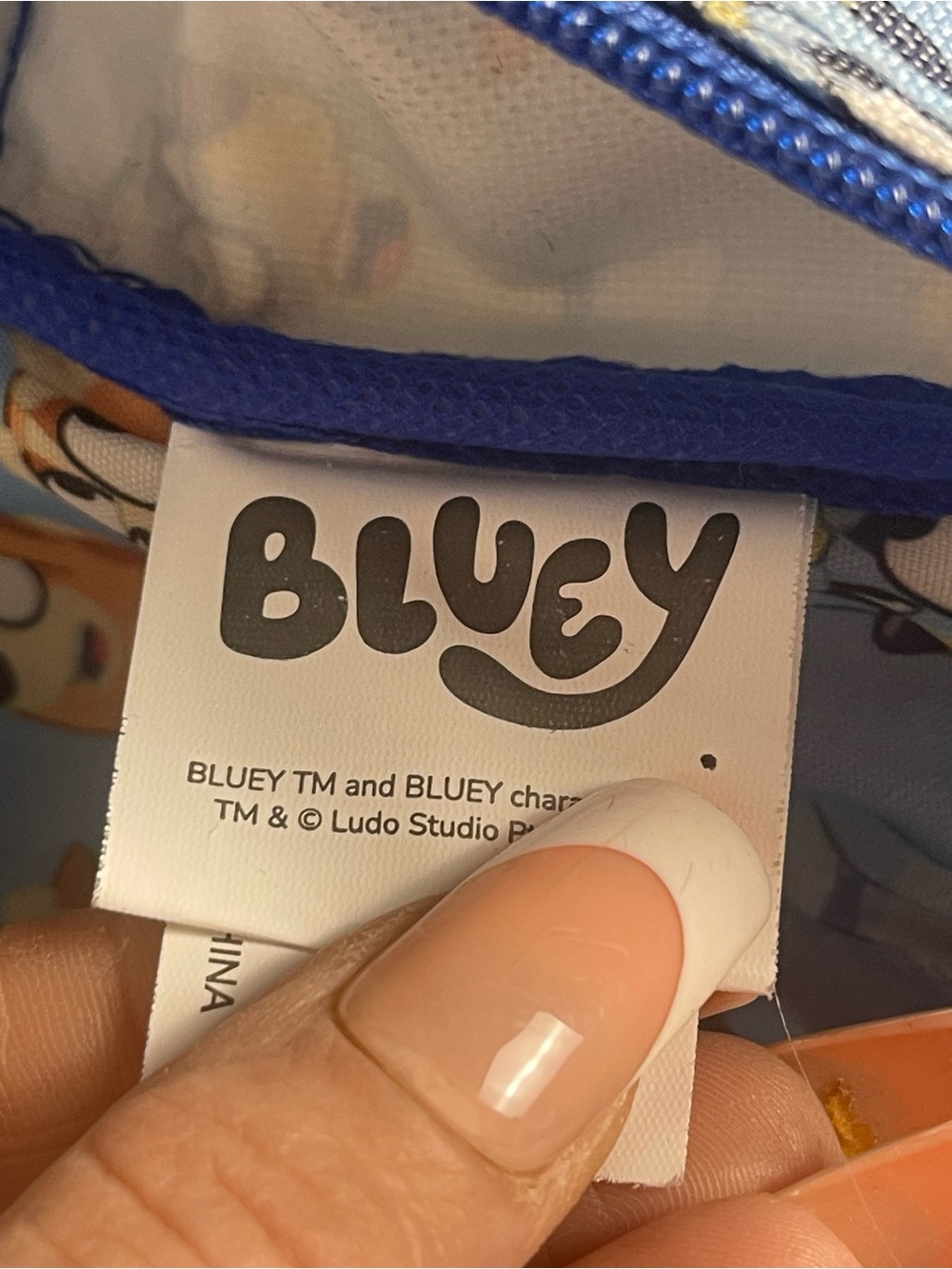 Bluey & Bingo Kids 2-Piece Backpack and Insulated Lunch Bag Set - Picture 8 of 16